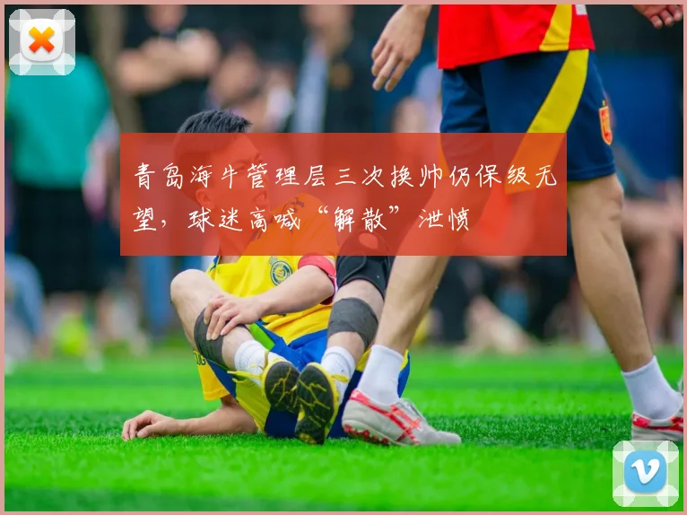 青岛海牛管理层三次换帅仍保级无望，球迷高喊“解散”泄愤