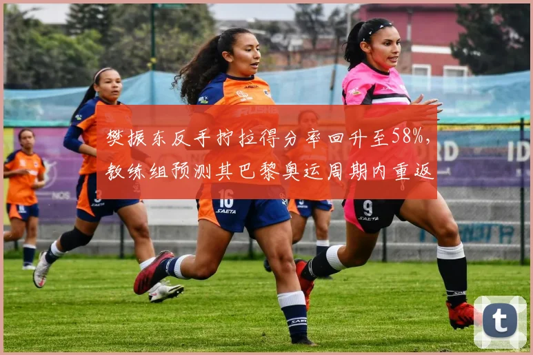 樊振东反手拧拉得分率回升至58%,教练组预测其巴黎奥运周期内重返世界第一