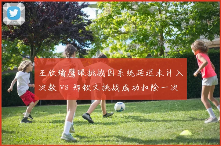 王欣瑜鹰眼挑战因系统延迟未计入次数 vs 郑钦文挑战成功扣除一次,技术规则执行待统一